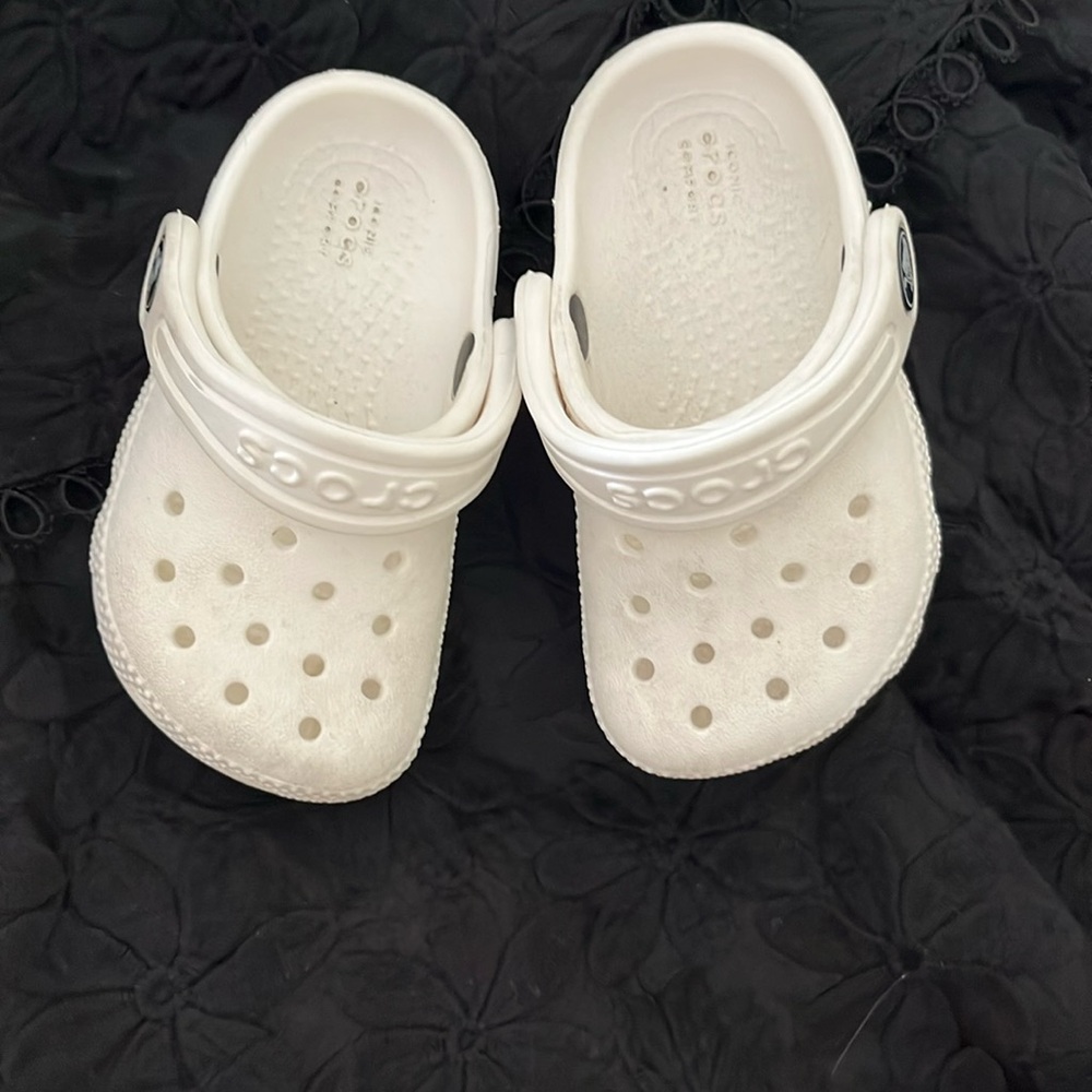 Baby crocs